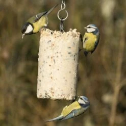 Variationspaket Mit 12 Energiekuchen 500 Ml -Geflügelbedarf Verkäufe 2024 10021 1 1 1