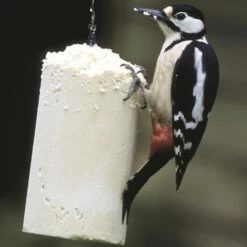 Nachfüllpackung Energiekuchen 3 X 500 Ml -Geflügelbedarf Verkäufe 2024 10022 2 2 1