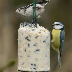 Variationspaket Mit 12 Energiekuchen 1000 Ml 15 Variationspaket Mit 12 Energiekuchen 1000 Ml -Geflügelbedarf Verkäufe 2024 10040 1 1 1