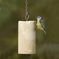 Variationspaket Mit 12 Energiekuchen 1000 Ml 14 Variationspaket Mit 12 Energiekuchen 1000 Ml -Geflügelbedarf Verkäufe 2024 10042 3 1