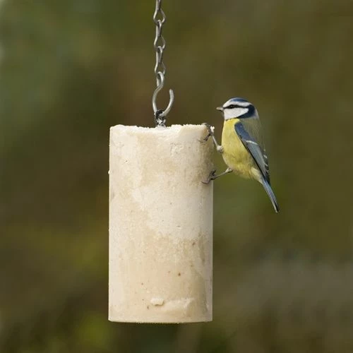 Variationspaket Mit 12 Energiekuchen 1000 Ml 8 Variationspaket Mit 12 Energiekuchen 1000 Ml – Bild 6