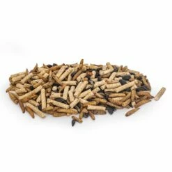 Premium Proteinreicher Insekten-Mix 2,5 Kg -Geflügelbedarf Verkäufe 2024 109950119 jvg 1292