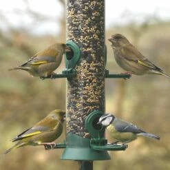 Futtersäule Kunststoff 38 Cm Grün -Geflügelbedarf Verkäufe 2024 31010 1 2