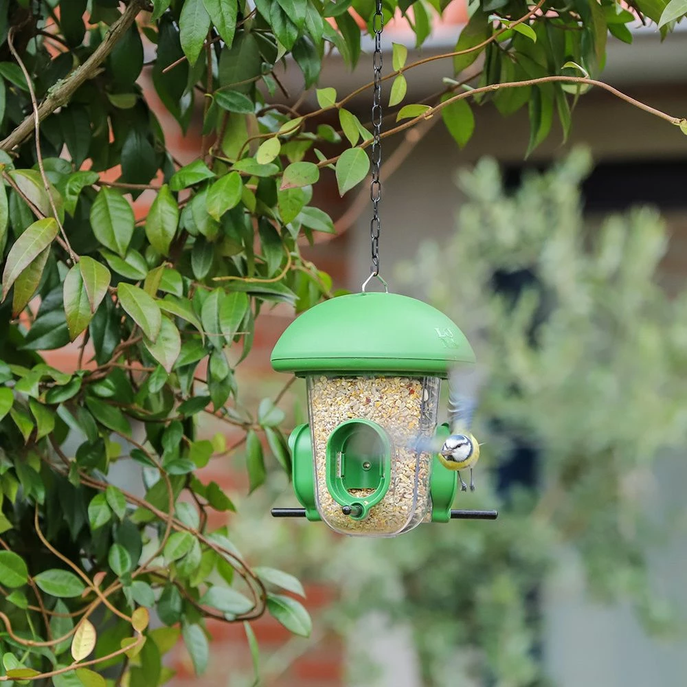 LONA Futterspender S6 Grun 5 LONA Futterspender S6 Grun – Bild 3