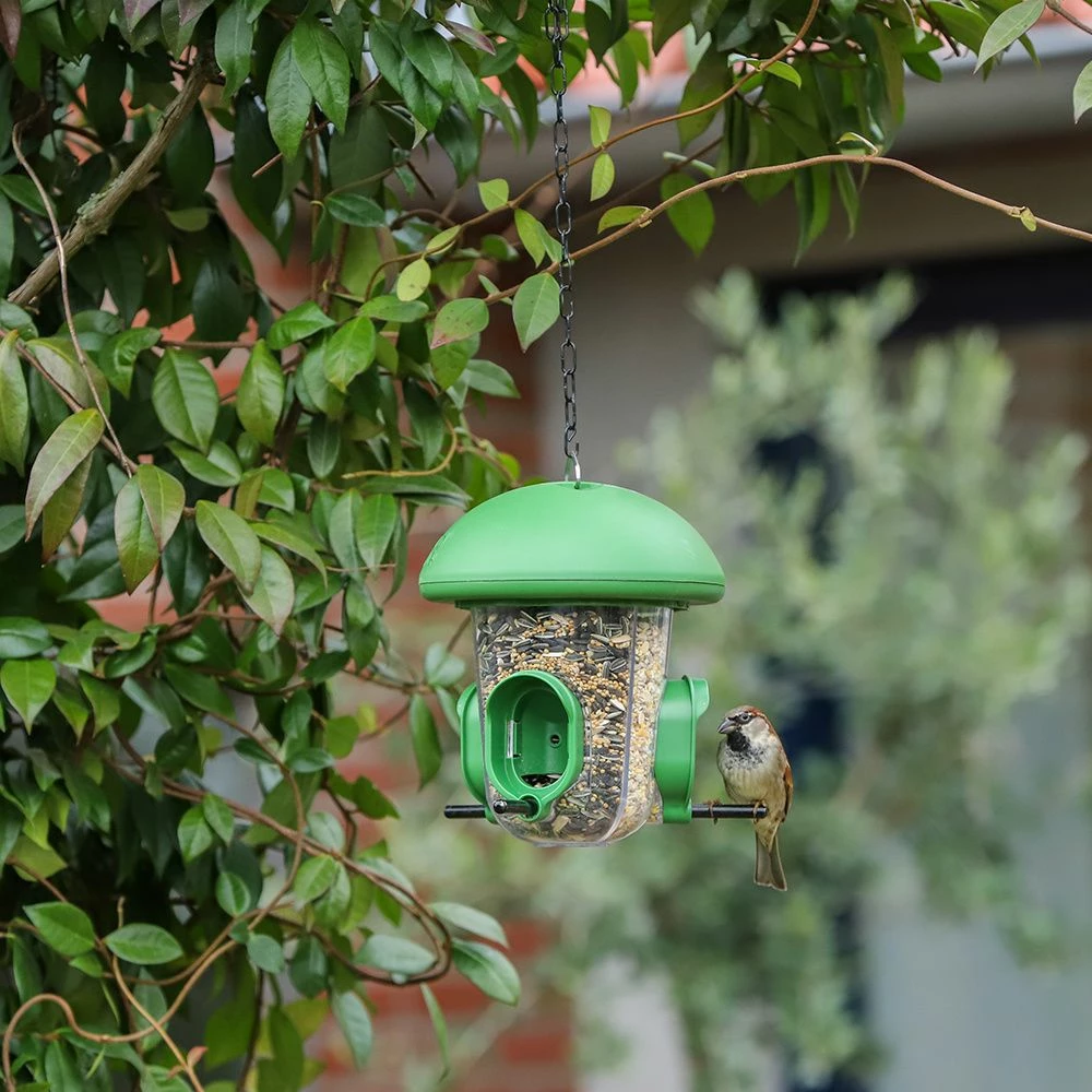 LONA Futterspender S6 Grun 3 LONA Futterspender S6 Grun