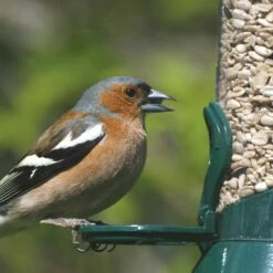 Futtersäule Metall 23 Cm Grün 9 Futtersäule Metall 23 Cm Grün -Geflügelbedarf Verkäufe 2024 31030 1 2