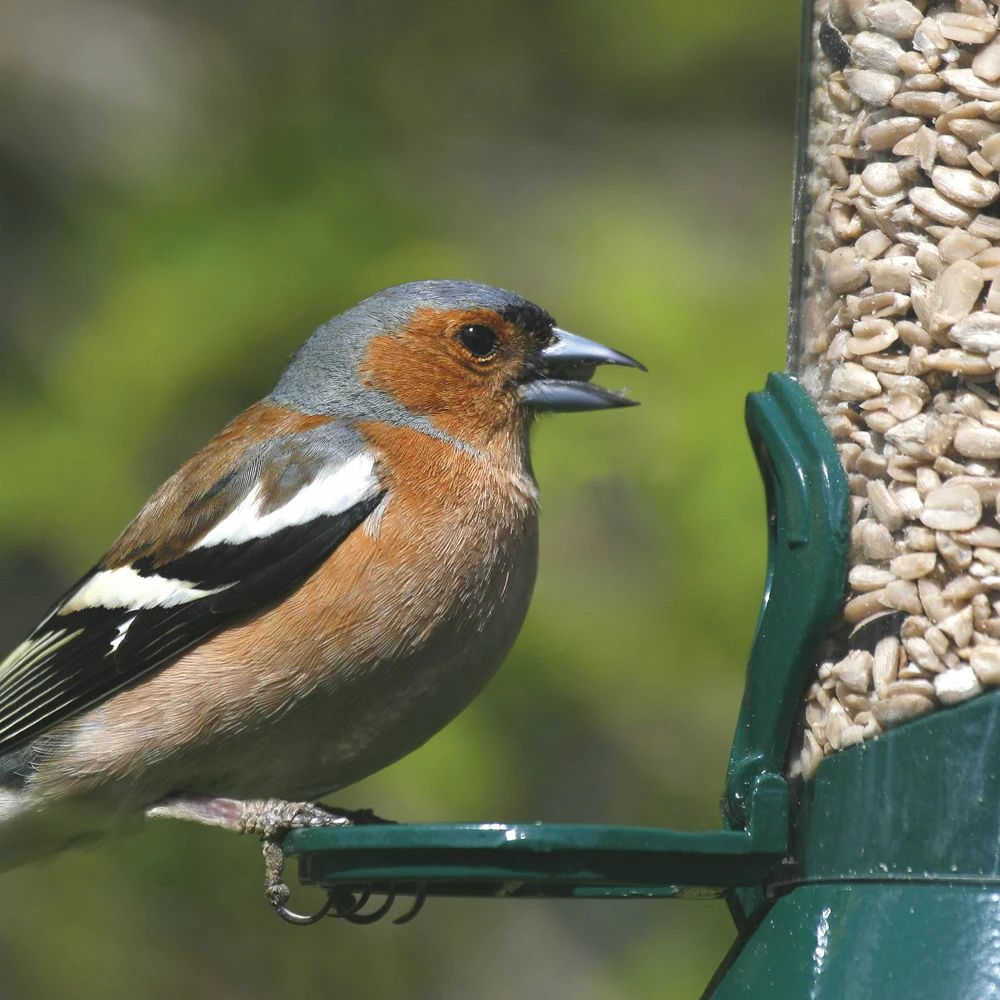 Futtersäule Metall 23 Cm Grün 6 Futtersäule Metall 23 Cm Grün – Bild 4