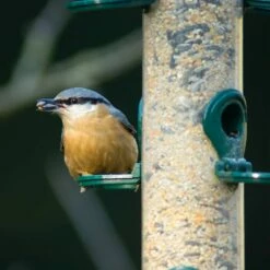 Futtersäule Metall 38 Cm Grün 10 Futtersäule Metall 38 Cm Grün -Geflügelbedarf Verkäufe 2024 31040 5