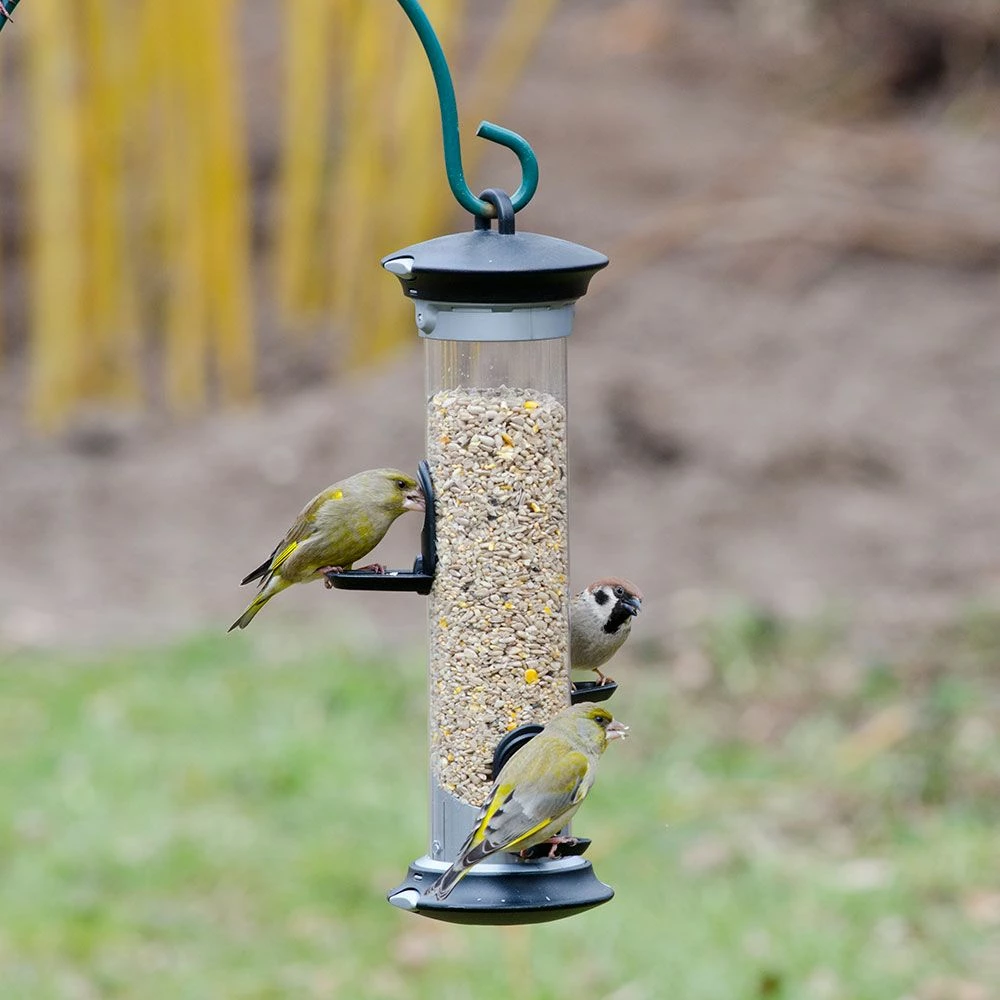 Futtersäule „Apollo“ 3 Öffnungen 4 Futtersäule „Apollo“ 3 Öffnungen – Bild 2