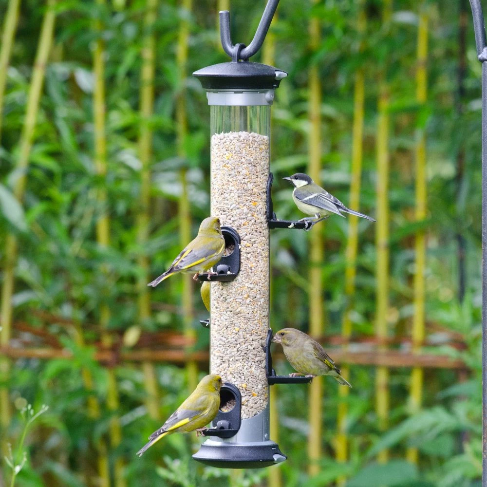 Futtersäule „Apollo“ 5 Öffnungen 4 Futtersäule „Apollo“ 5 Öffnungen – Bild 2