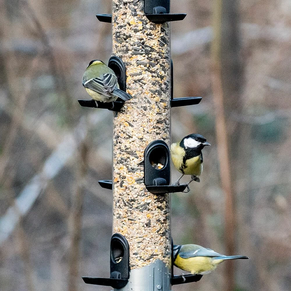 Futtersäule „Apollo“ 8 Öffnungen 4 Futtersäule „Apollo“ 8 Öffnungen – Bild 2