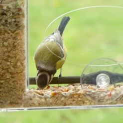 Energiereiche Samen Deluxe Für Vögel -Geflügelbedarf Verkäufe 2024 31325 11205