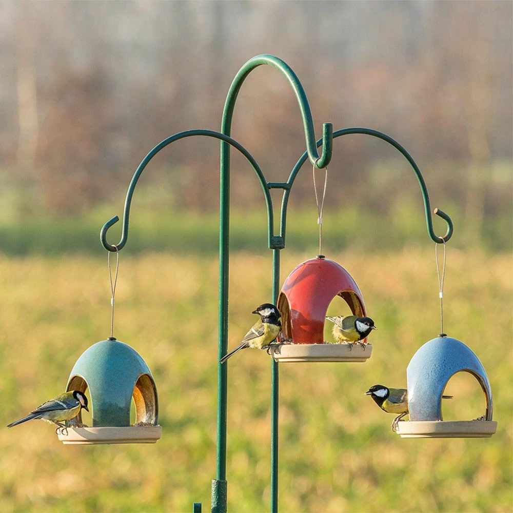 „Vierno“ Taverne Grün 5 „Vierno“ Taverne Grün – Bild 3