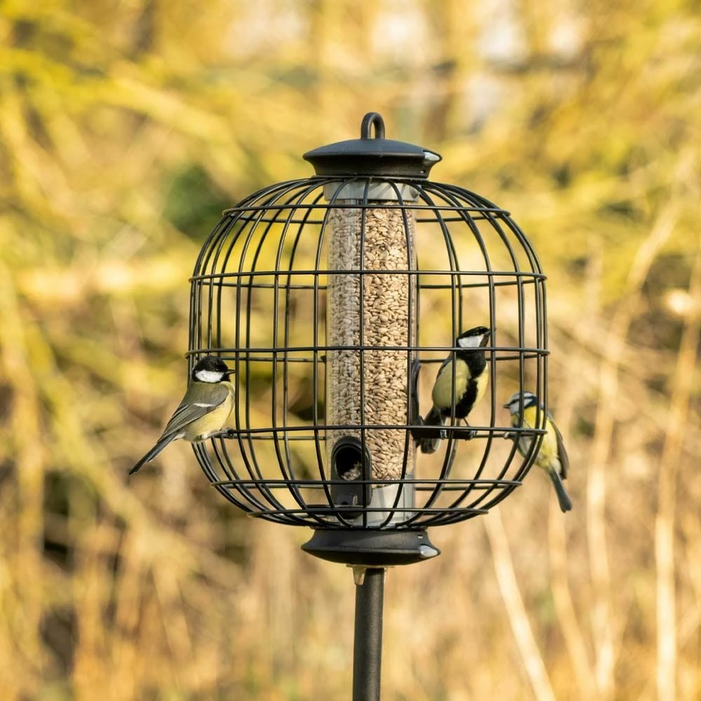 Geflügelbedarf Verkäufe 2024 -Geflügelbedarf Verkäufe 2024 35002 5