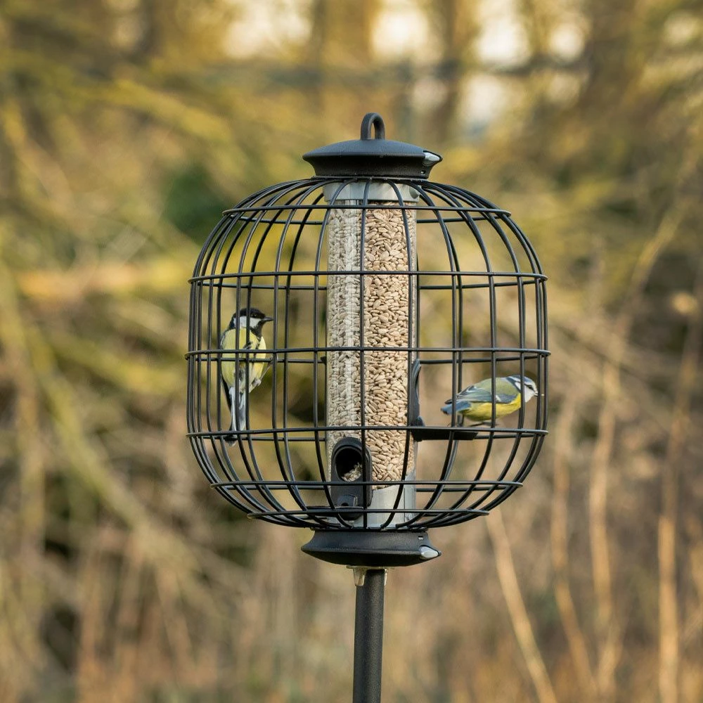 Futtersäulen-Schutz Für „Apollo“ Mit 3 Öffnungen 3 Futtersäulen-Schutz Für „Apollo“ Mit 3 Öffnungen