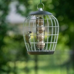 Meisenknödelhalter Mit Schutzkäfig „Aura“ 8 Meisenknödelhalter Mit Schutzkäfig „Aura“ -Geflügelbedarf Verkäufe 2024 350030119 aura fat ball feeder with guardian qm 6235