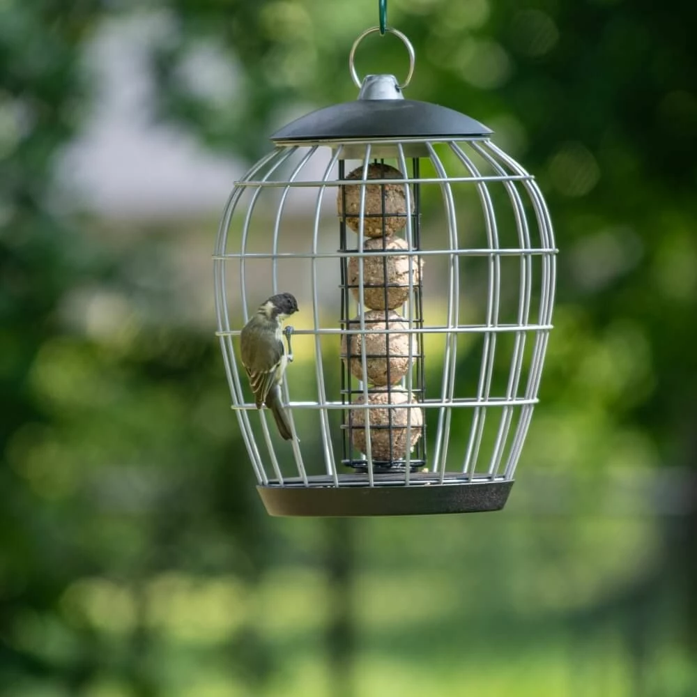 Meisenknödelhalter Mit Schutzkäfig „Aura“ 4 Meisenknödelhalter Mit Schutzkäfig „Aura“ – Bild 2