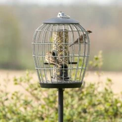 Schutz-Futtersäule Für Kleine Vögel „Aura“ -Geflügelbedarf Verkäufe 2024 35109 3 2