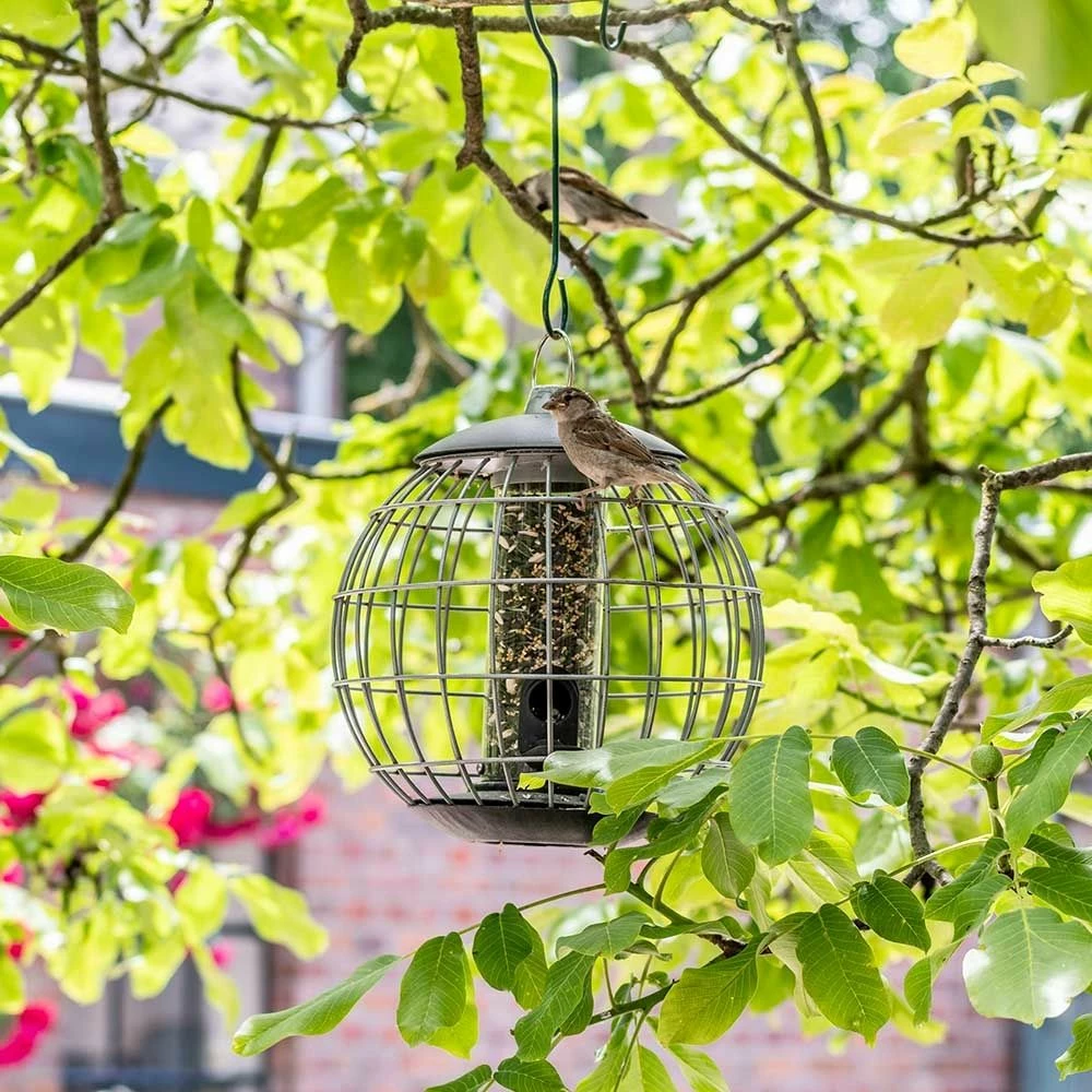 Schutz-Futtersäule Für Kleine Vögel „Athena“ 3 Schutz-Futtersäule Für Kleine Vögel „Athena“