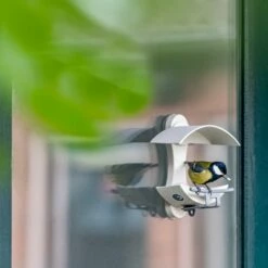 Fenster-Futtertisch - Eichelform