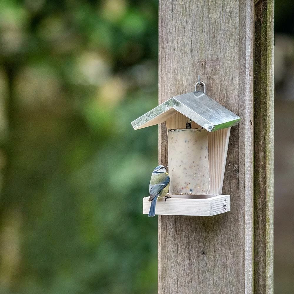 Energiekuchen-Halter „Espoo" 3 Energiekuchen-Halter „Espoo"