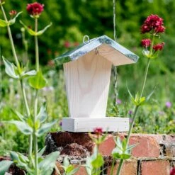 Energiekuchen-Halter „Espoo" 6 Energiekuchen-Halter „Espoo" -Geflügelbedarf Verkäufe 2024 351820119 jvg 7196 3