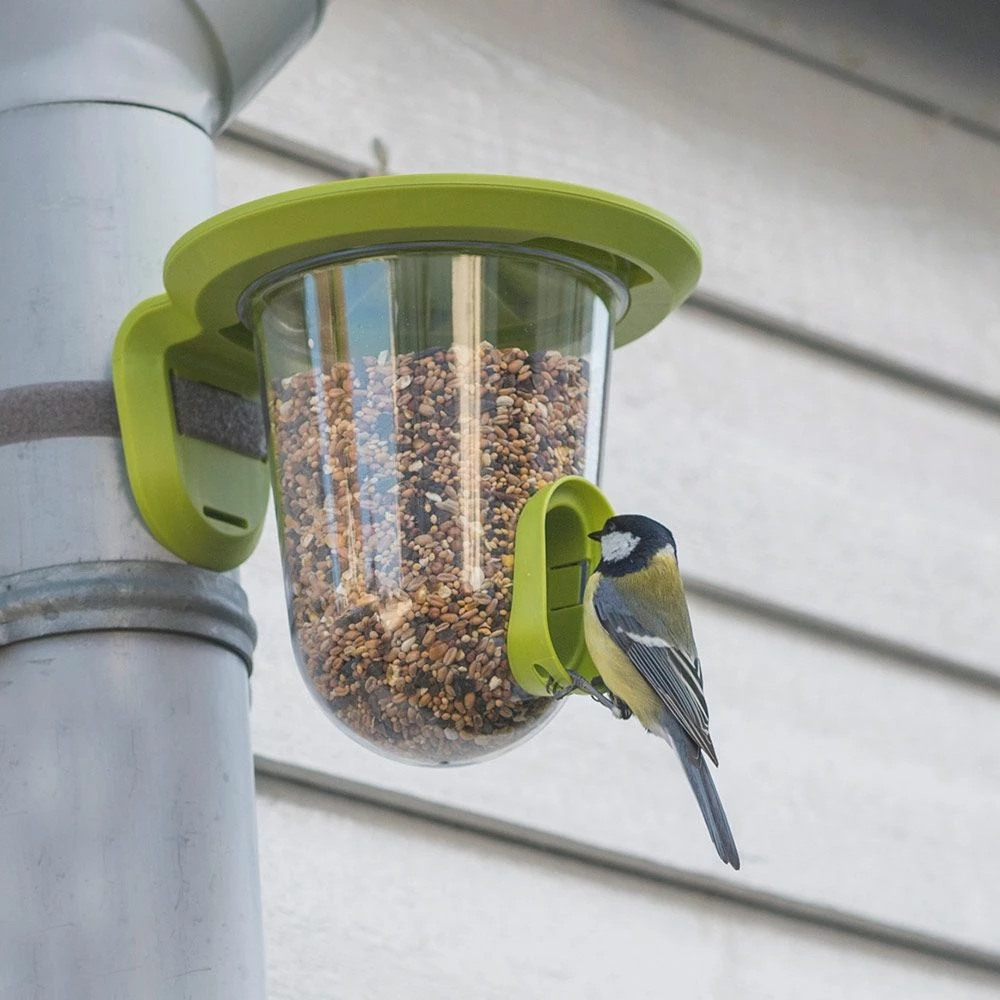 SingingFriend FeedR Grün 3 SingingFriend FeedR Grün