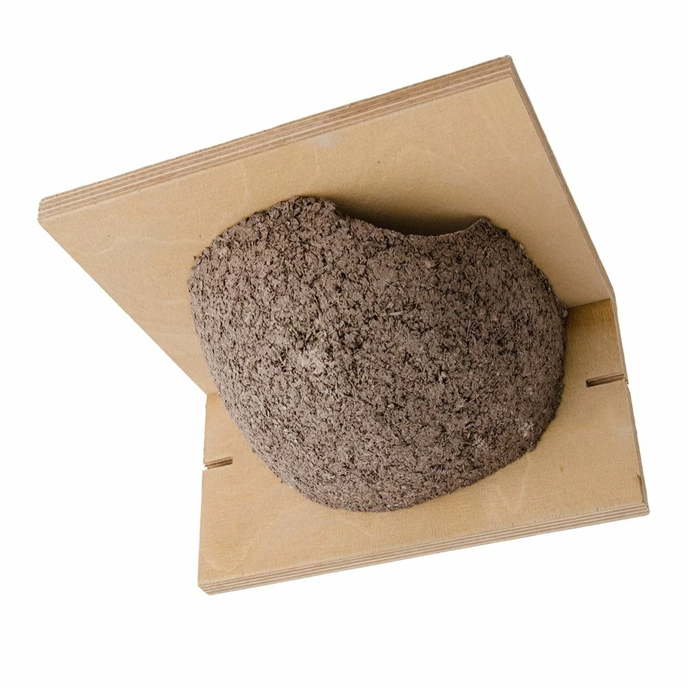 Kunstnistkasten Mehlschwalbe Einzeln (Eingang Rechts) 4 Kunstnistkasten Mehlschwalbe Einzeln (Eingang Rechts) – Bild 2