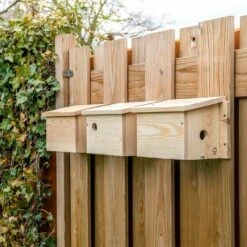 System-Nistkasten Sperling – 34mm -Geflügelbedarf Verkäufe 2024 901670120 901690120 901680120 house sparrow multi box sw low res 9474