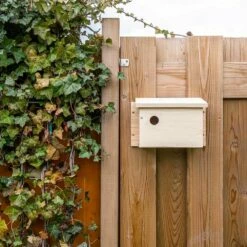 System-Nistkasten Sperling – 34mm -Geflügelbedarf Verkäufe 2024 901670120 house sparrow multi box middle 34mm sw low res 9507