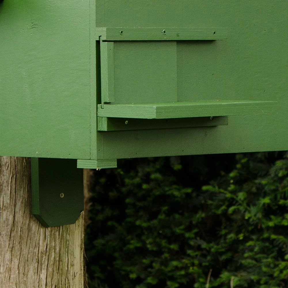 Steinmarderkasten 6 Steinmarderkasten – Bild 4