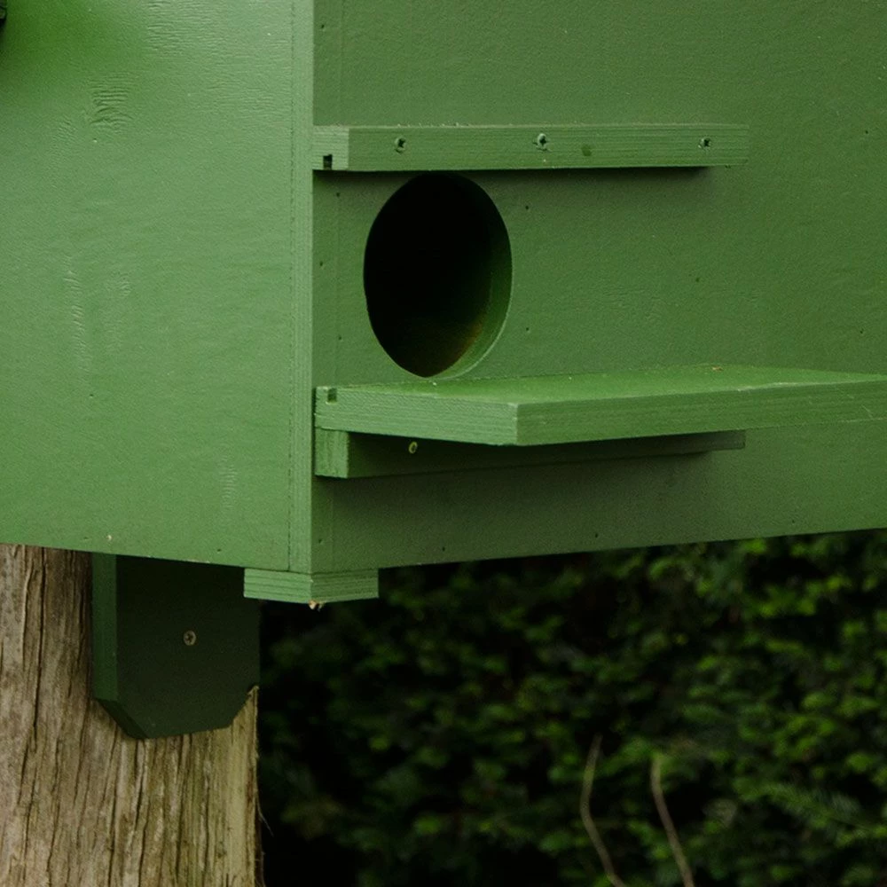 Steinmarderkasten 4 Steinmarderkasten – Bild 2