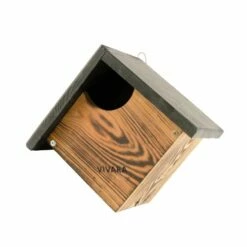 Nistkasten „Austin“ -Geflügelbedarf Verkäufe 2024 90761 new