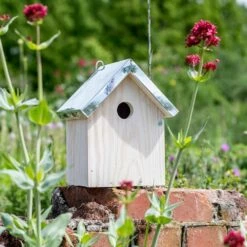 Nistkasten „Helsinki" Ø28 Mm -Geflügelbedarf Verkäufe 2024 909760119 jvg 7201