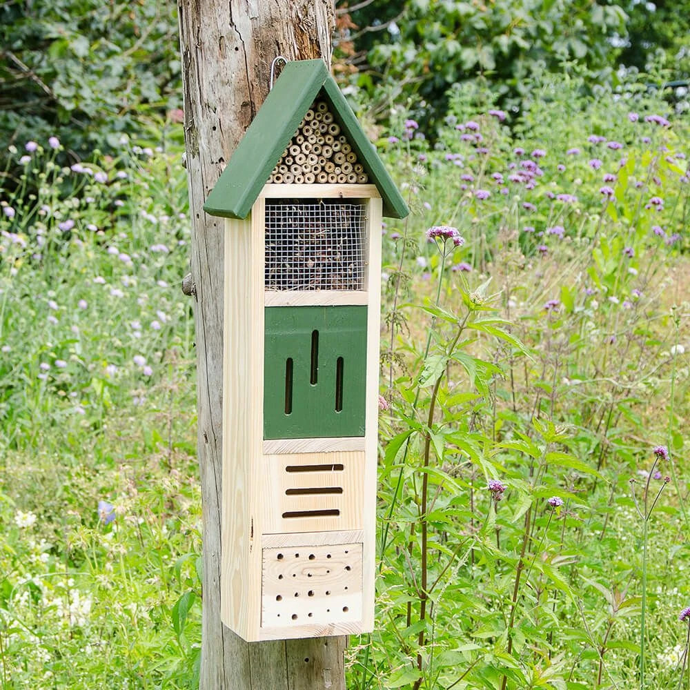 Insektenhotel Elba 4 Insektenhotel Elba – Bild 2