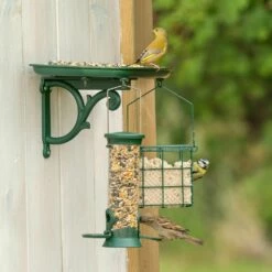 Green+ Premium Streufutter 2,5kg (biologischer Anbau) -Geflügelbedarf Verkäufe 2024 93011 5 1 2