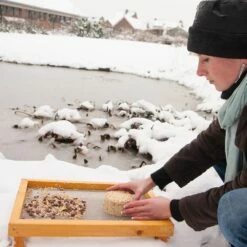 Stehender Futtertisch -Geflügelbedarf Verkäufe 2024 93035 3