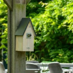 Nistkasten „Juneau“ 34 Mm -Geflügelbedarf Verkäufe 2024 93628 7