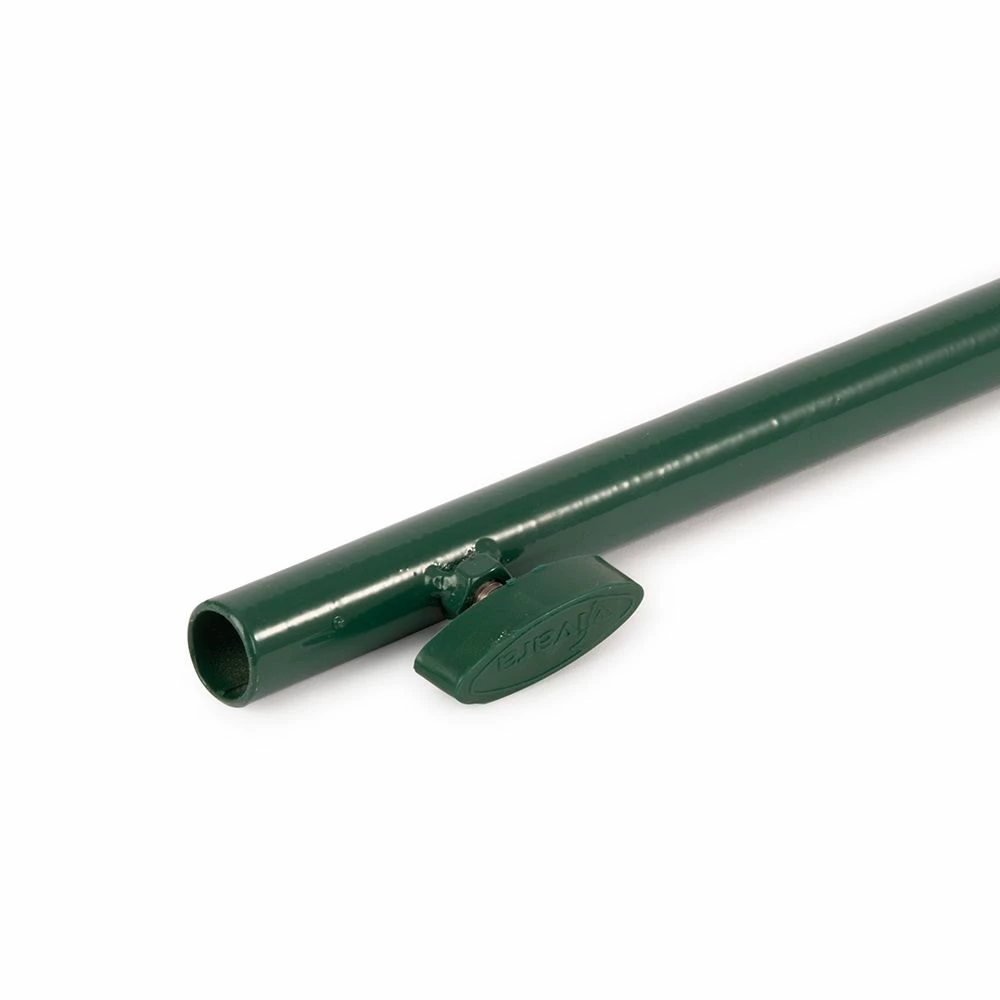 Hirtenstab Riesenfuttersäule 7 Hirtenstab Riesenfuttersäule – Bild 5