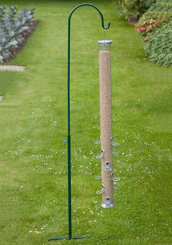 Hirtenstab Riesenfuttersäule 3 Hirtenstab Riesenfuttersäule