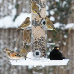 Auffangschale „Maxi“ -Geflügelbedarf Verkäufe 2024 94061 large feeder tray 33000 conqueror 1