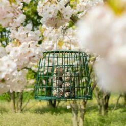 Multi-Schutzkäfig -Geflügelbedarf Verkäufe 2024 945500119 multi beschermkooi 102770119 ultimate fat balls dv 0675