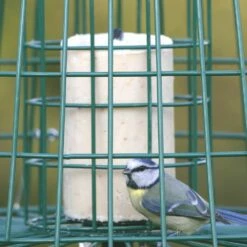 Multi-Schutzkäfig -Geflügelbedarf Verkäufe 2024 94550 2