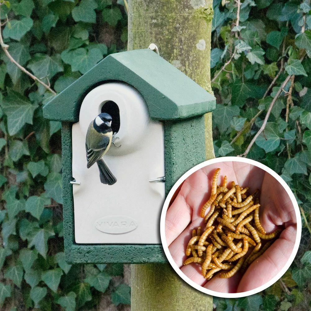 Nistkasten-Set „Sevilla“ WoodStone 3 Nistkasten-Set „Sevilla“ WoodStone