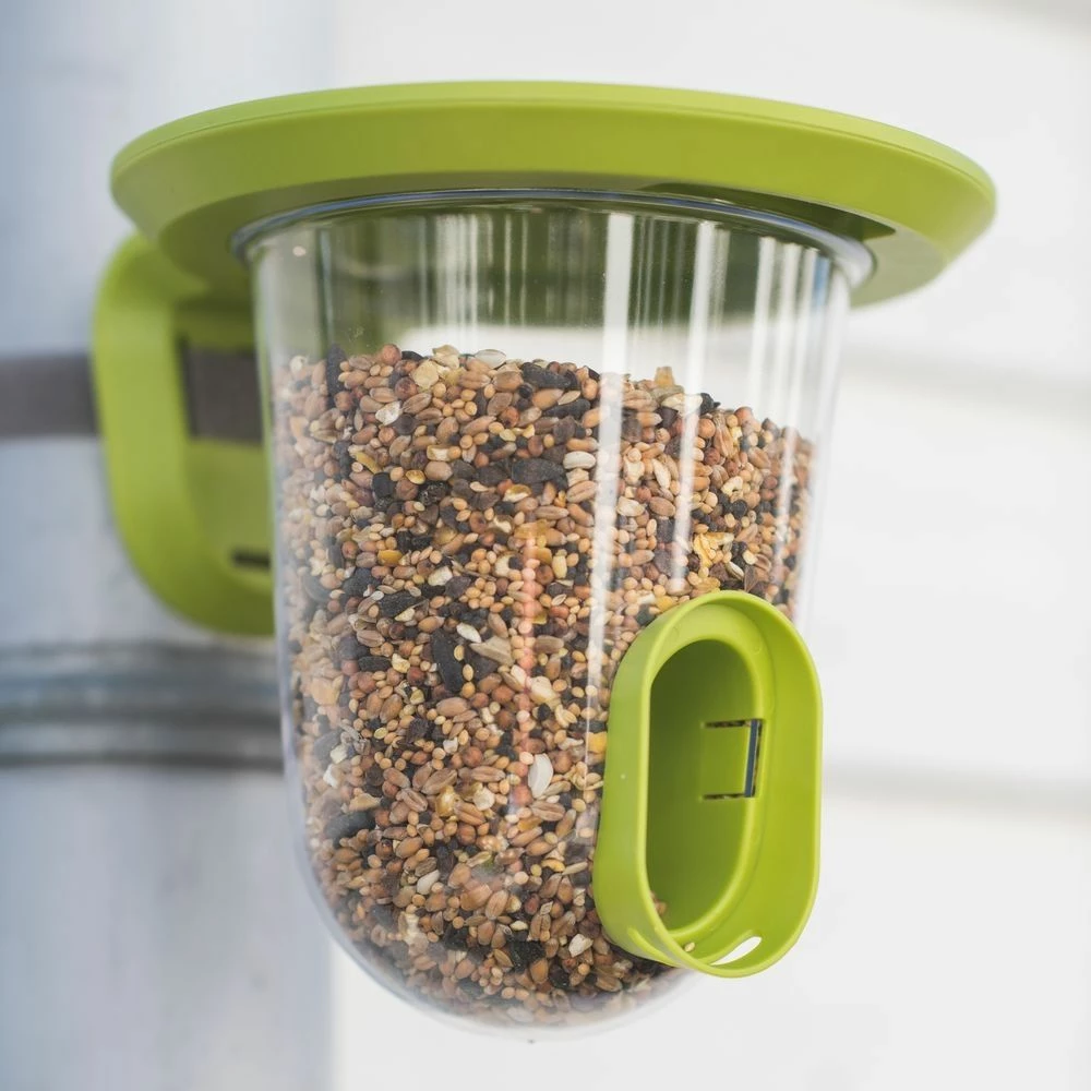 SingingFriend FeedR Grün 4 SingingFriend FeedR Grün – Bild 2