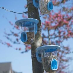 SingingFriend FeedR (Blau) -Geflügelbedarf Verkäufe 2024 bdf4975 2