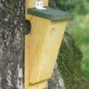 Nistkasten Baumläufer 1 Nistkasten Baumläufer -Geflügelbedarf Verkäufe 2024 david 6058 90120
