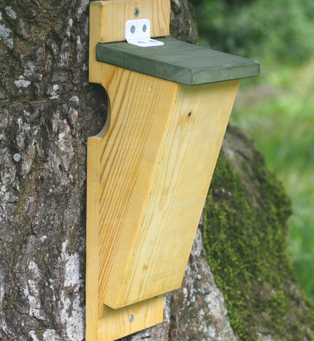 Nistkasten Baumläufer 3 Nistkasten Baumläufer