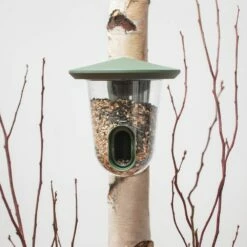 Geflügelbedarf Verkäufe 2024 -Geflügelbedarf Verkäufe 2024 fr wg sleeve 2