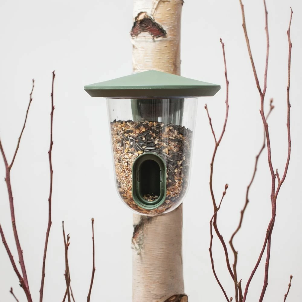 SingingFriend FeedR Dunkelgrün 4 SingingFriend FeedR Dunkelgrün – Bild 2